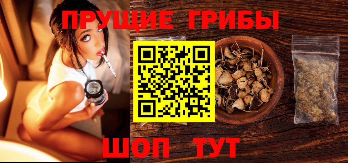 Псилоцибиновые грибы Psilocybe Гусев