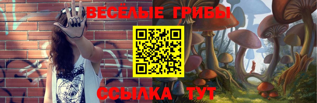 Гусев  Галлюциногенные грибы Psilocybe  Вход с VPN  Псилоцибиновые грибы мухоморы 