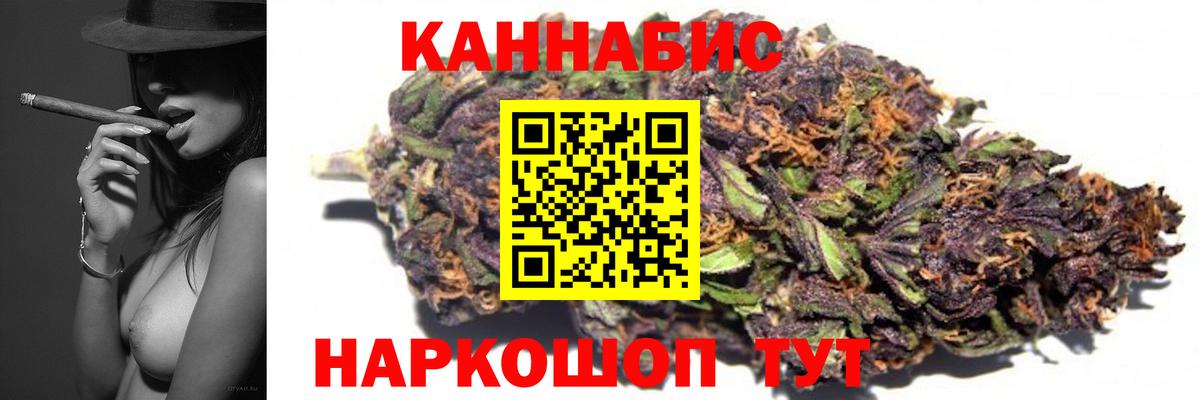 Бошки Шишки семена Гусев